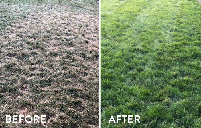 Music City Lawn Care Before and After